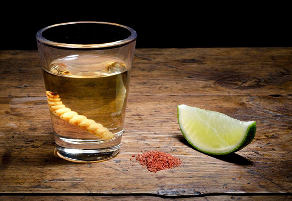 Mezcal licor mexicano
