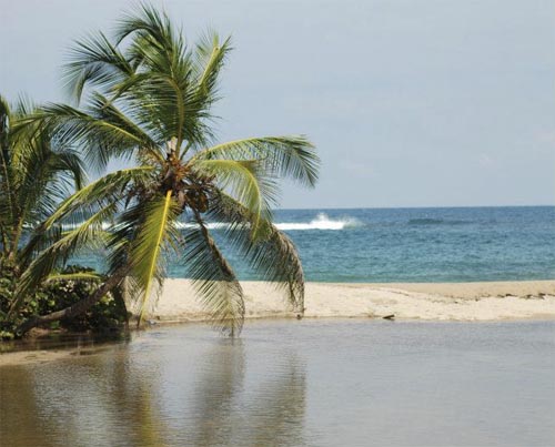 Los 5 parques naturales más importantes de Colombia