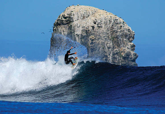 Punta de lobos