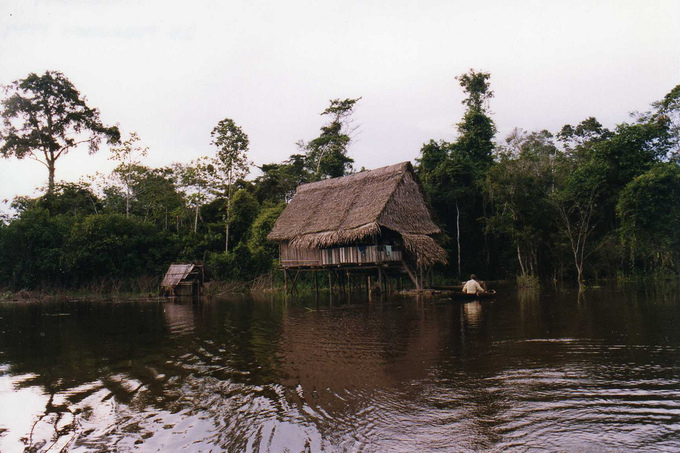 Amazonia - Iquitos