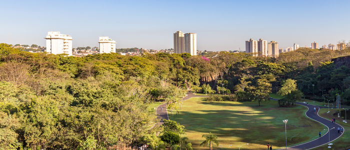 Voos Goiânia-Ribeirão Preto a partir de R$ 1.202